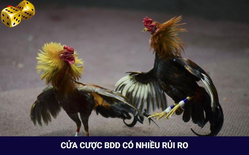 Cửa BDD tiềm ẩn nhiều rủi ro