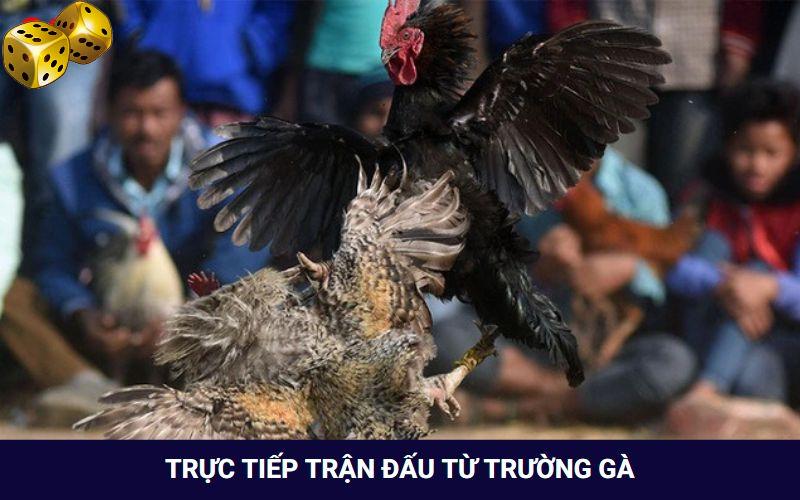 Trận đấu tại Go8 diễn ra cực kỳ kịch tính