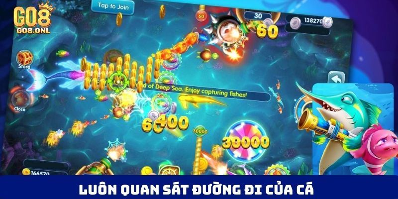 Luôn quan sát đường đi của cá