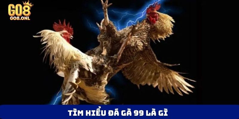 Tìm hiểu đá gà 99 là gì